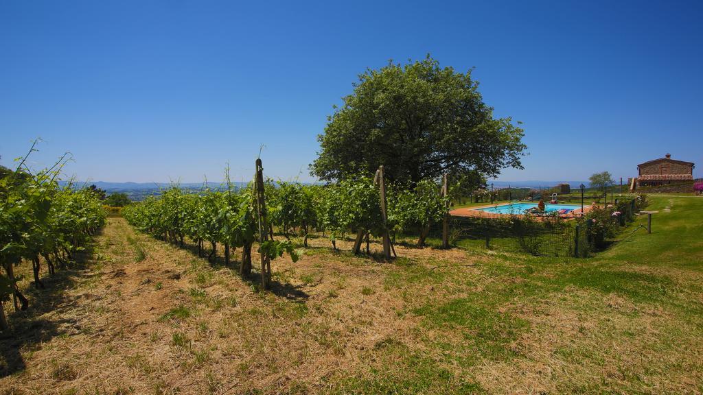 Tenuta Angelici Winery Casa Contea With Pool And Panoramic Pool Cortona Vila Terontola Quarto foto